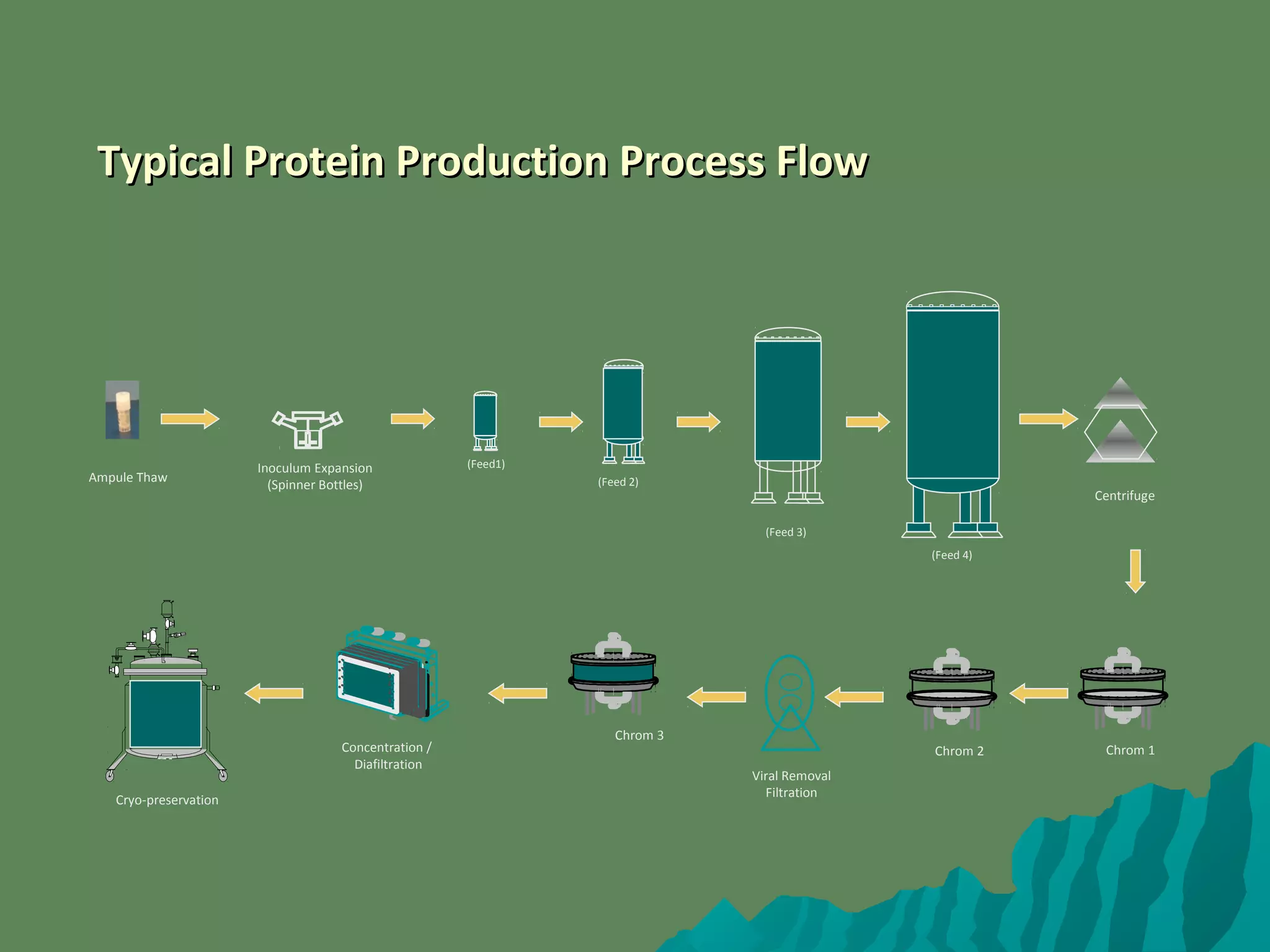 Typical Protein Production Process FlowTypical Protein Production Process Flow
(Feed 2)
(Feed 3)
(Feed 4)
Chrom 1
Chrom 3
Cryo-preservation
Concentration /
Diafiltration
Centrifuge
Viral Removal
Filtration
(Feed1)Inoculum Expansion
(Spinner Bottles)
Ampule Thaw
Chrom 2
 