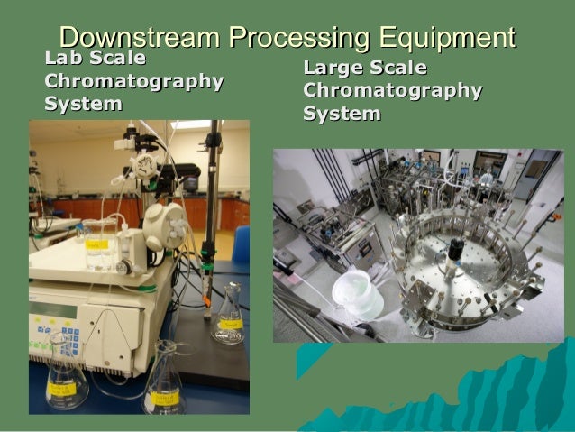 Downstream Processing in Biopharmaceuticals