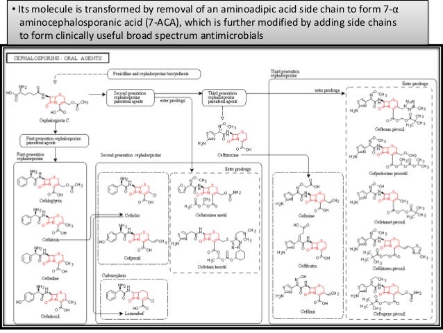 downstreamprocessing of cephalosporins and aspartic acid cephalosporin side chain chart