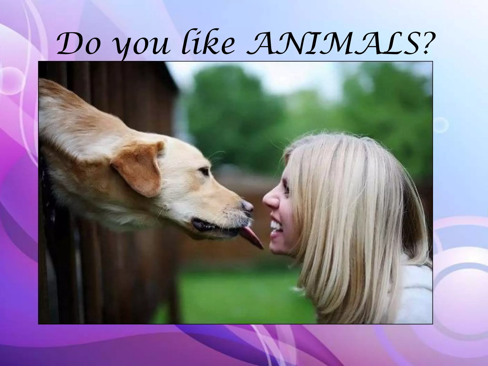 Do you like ANIMALS?