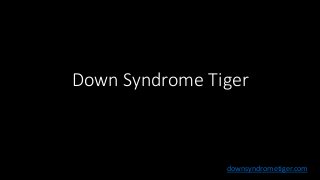 Down Syndrome Tiger 
downsyndrometiger.com  