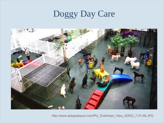Slide 7
Doggy Day Care
http://www.adogsdayout.com/Pix_Overhead_View_ADDO_7-31-08.JPG
 