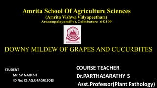 Amrita School Of Agriculture Sciences
(Amrita Vishwa Vidyapeetham)
Arasampalayam(Po), Coimbatore- 642109
DOWNY MILDEW OF GRAPES AND CUCURBITES
 