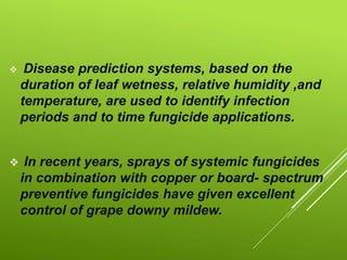  Disease prediction systems, based on the
duration of leaf wetness, relative humidity ,and
temperature, are used to identify infection
periods and to time fungicide applications.
 In recent years, sprays of systemic fungicides
in combination with copper or board- spectrum
preventive fungicides have given excellent
control of grape downy mildew.
 
