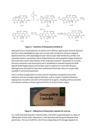 Doxycycline essay final | PDF