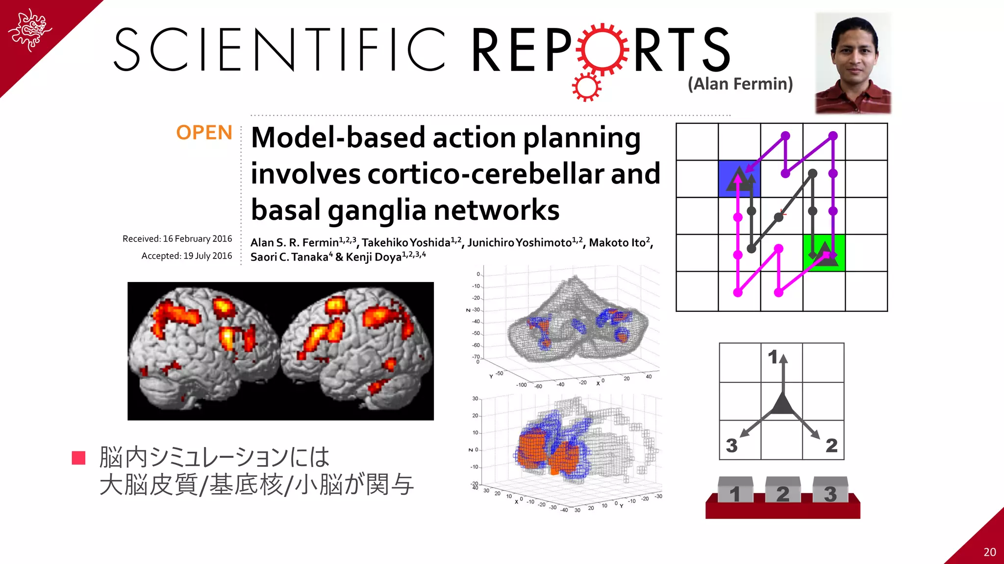 Model-based action planning
involves cortico-cerebellar and
basal ganglia networks
Alan S. R. Fermin , ,
,TakehikoYoshida ,
, JunichiroYoshimoto ,
, Makoto Ito ,
SaoriC.Tanaka & Kenji Doya , , ,
Humans can select actions by learning, planning, or retrieving motor memories. Reinforcement
Learning (RL) associates these processes with three major classes of strategies for action selection:
exploratory RL learns state-action values by exploration, model-based RL uses internal models to
simulate future states reached by hypothetical actions, and motor-memory RL selects past successful
state-action mapping. In order to investigate the neural substrates that implement these strategies,
we conducted a functional magnetic resonance imaging (fMRI) experiment while humans performed a
ventromedial prefrontal cortex and ventral striatum increased activity in the exploratory condition;
the dorsolateral prefrontal cortex, dorsomedial striatum, and lateral cerebellum in the model-based
condition; and the supplementary motor area, putamen, and anterior cerebellum in the motor-memory
implements the model-based RL action selection strategy.
Using exploration and reward feedback, humans and other animals have a remarkable capacity to learn new
motor behaviors without explicit teaching1
. Throughout most of our lives, however, we depend on explicit or
implicit knowledge, based upon past experiences, such as a map of the area or properties of the musculoskeletal
system, to enable focused exploration and efficient learning2,3
. After repeated practice, a motor behavior becomes
stereotyped and can be executed with little mental load4
. What brain mechanisms enable animals to employ
different learning strategies and to select or integrate them in a given situation? In this paper, we take a new
behavioral paradigm that captures different stages of motor learning during a single experimental session5
, and
using fMRI we explore brain structures that are specifically involved in implementing different learning strategies.
6
R
A
P
OPEN
(Alan Fermin)
20
n 脳内シミュレーションには
⼤脳⽪質/基底核/⼩脳が関与
1
3 2
1 2 3
+
dition 3 Condition 2 Condition 3B
D
Condition 1 Condition 3A Condition 2 Condition 3B
C D
Condition 1 Condition 3A Condition 2 Condition 3B
C D
 