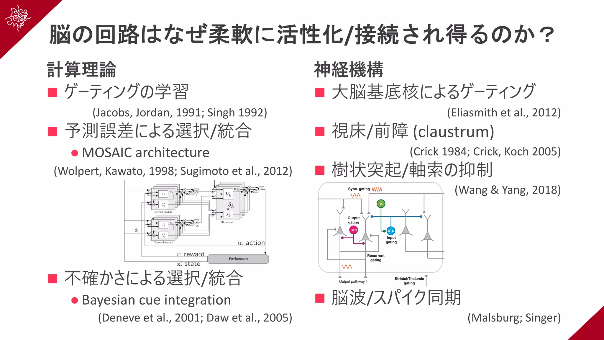 脳の回路はなぜ柔軟に活性化/接続され得るのか？
計算理論
n ゲーティングの学習
(Jacobs, Jordan, 1991; Singh 1992)
n 予測誤差による選択/統合
l MOSAIC architecture
(Wolpert, Kawato, 1998; Sugimoto et al., 2012)
n 不確かさによる選択/統合
l Bayesian cue integration
(Deneve et al., 2001; Daw et al., 2005)
神経機構
n ⼤脳基底核によるゲーティング
(Eliasmith et al., 2012)
n 視床/前障 (claustrum)
(Crick 1984; Crick, Koch 2005)
n 樹状突起/軸索の抑制
(Wang & Yang, 2018)
n 脳波/スパイク同期
(Malsburg; Singer)
MOSAIC for Multiple-Reward Environments 581
Figure 1: Schematic diagram of MOSAIC-MR. Reward modules (top left) pre-
dict the immediate reward (ˆri), and forward modules (bottom left) predict the
local dynamics of environment (ˆ˙xj). Reward and forward modules decompose
a complex environment into subenvironments on the basis of prediction errors
(r − ˆri) and (˙x − ˆ˙xj), respectively. RL modules (displayed at right) output action
(uk) appropriate for each subenvironment. The learning and control of each
RL module are weighted based on TD error (δk), that is, on how well each RL
controller predicts the expected discounted future rewards.
modules is performed on the basis of the prediction errors of the reward
and the dynamics, respectively. The RL module, which receives the reward
and dynamics predictions (ˆr(t), ˆ˙x(t)) and the weights of each module in
80 Neurobiology of behavior
Figure 4
Input pathway 2
ThalamusBasal Ganglia
Output pathway 1
Output pathway 2
Input
gating
Output
gating
Sync. gating
Recurrent
gating
Striatal/Thalamic
gating
Input pathway 1
STC DTC
ITC
Current Opinion in Neurobiology
Various mechanisms for information gating in the brain. Input gating can be achieved by dendrite-targeting interneurons that selectively control
inputs to pyramidal dendrites. In the synchronous gating mechanism, communication between two areas depends on the degree of temporal
synchrony of neural activity between the source and target areas. Recurrent gating mechanism involves selective integration of inputs based on
context-dependent dynamics of the network. Output gating is instantiated with perisoma-targeting interneurons that specifically inhibit pyramidal
neurons projecting to one pathway but not others. Gating may also involve subcortical structures, especially basal ganglia and thalamus.
 