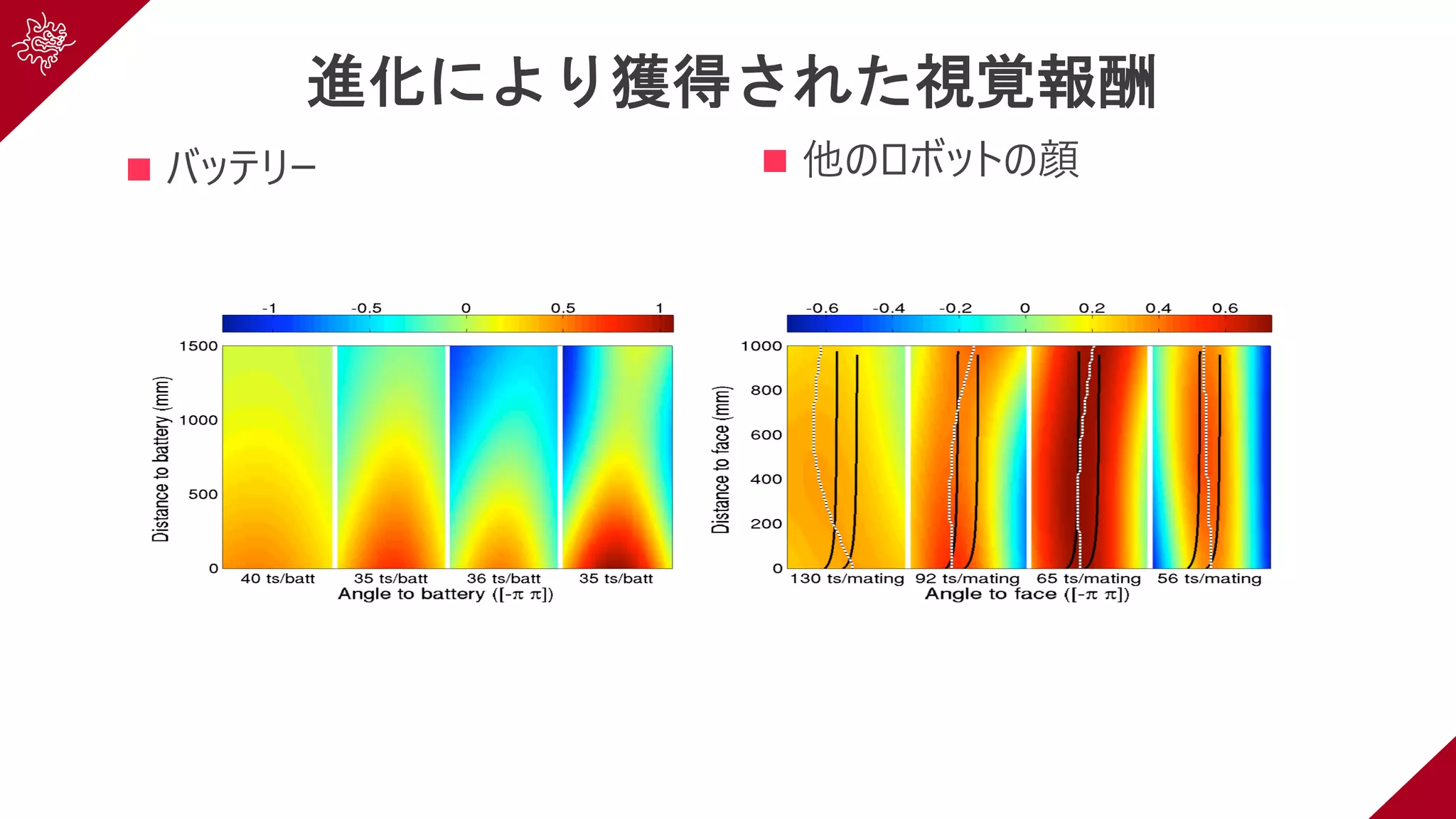 進化により獲得された視覚報酬
n バッテリー n 他のロボットの顔
 