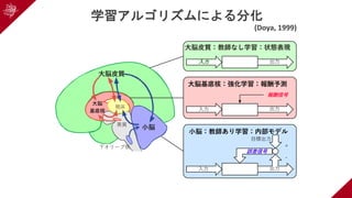 視床
⿊質
下オリーブ核
⼤脳⽪質
⼤脳
基底核
⼩脳
⽬標出⼒
誤差信号
+
-
出⼒⼊⼒
⼩脳：教師あり学習：内部モデル
報酬信号
出⼒⼊⼒
⼤脳基底核：強化学習：報酬予測
⼤脳⽪質：教師なし学習：状態表現
出⼒⼊⼒
学習アルゴリズムによる分化
(Doya, 1999)
 