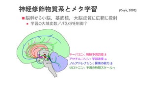 神経修飾物質系とメタ学習 (Doya, 2002)
n 脳幹から⼩脳，基底核，⼤脳⽪質に広範に投射
l 学習の⼤域変数／パラメタを制御？
ドーパミン: 報酬予測誤差 d
アセチルコリン: 学習速度 a
ノルアドレナリン: 探索の絞り b
セロトニン: 予測の時間スケール g
 