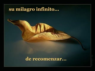 su milagro infinito...




       de recomenzar...
 