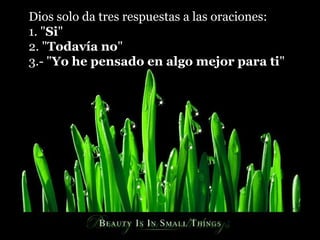 Dios solo da tres respuestas a las oraciones:
1. "Si"
2. "Todavía no"
3.- "Yo he pensado en algo mejor para ti"
 