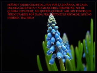 SEÑOR Y PADRE CELESTIAL, HOY POR LA MAÑANA, MI CAMA
ESTABA CALIENTITA Y NO ME QUERIA DESPERTAR. NO ME
QUERIA LEVANTAR, ME QUERIA QUEDAR AHÍ, SIN TENER QUE
PREOCUPARME POR NADA PERO ENTONCES RECORDÉ, QUE NO
DEBERÍA HACERLO
 
