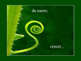 de nacer,




            crecer ,
 