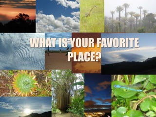 WHAT IS YOUR FAVORITE
       PLACE?
 
