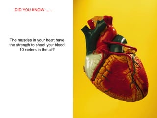 DID YOU KNOW …..
    SABIAS QUE…




The muscles in your heart have
the strength to shoot your blood
      10 meters in the air?
 