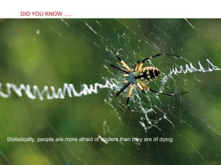 DID YOU KNOW …..
       SABIAS QUE…




Statistically, people are more afraid of spiders than they are of dying
 