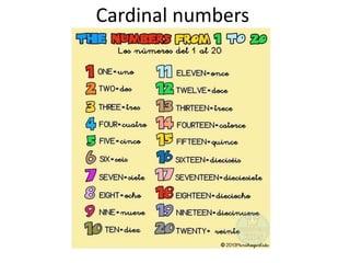 Cardinal numbers