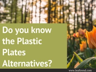 Do you know
the Plastic
Plates
Alternatives?
www.leaftrend.com
 