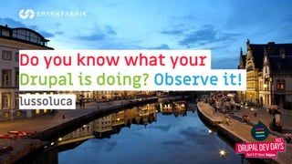 Do you know what your
Drupal is doing? Observe it!
lussoluca
 