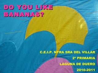 DO YOU LIKE BANANAS? C.E.I.P. NTRA SRA DEL VILLAR 2º PRIMARIA LAGUNA DE DUERO 2010-2011 