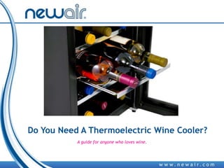 Do You Need A Thermoelectric Wine Cooler?
A guide for anyone who loves wine.
 