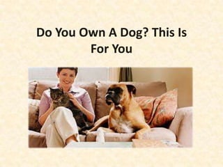 Do You Own A Dog? This Is
For You
 