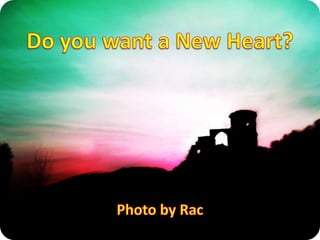 Do you want a New Heart? Photo by Rac 
