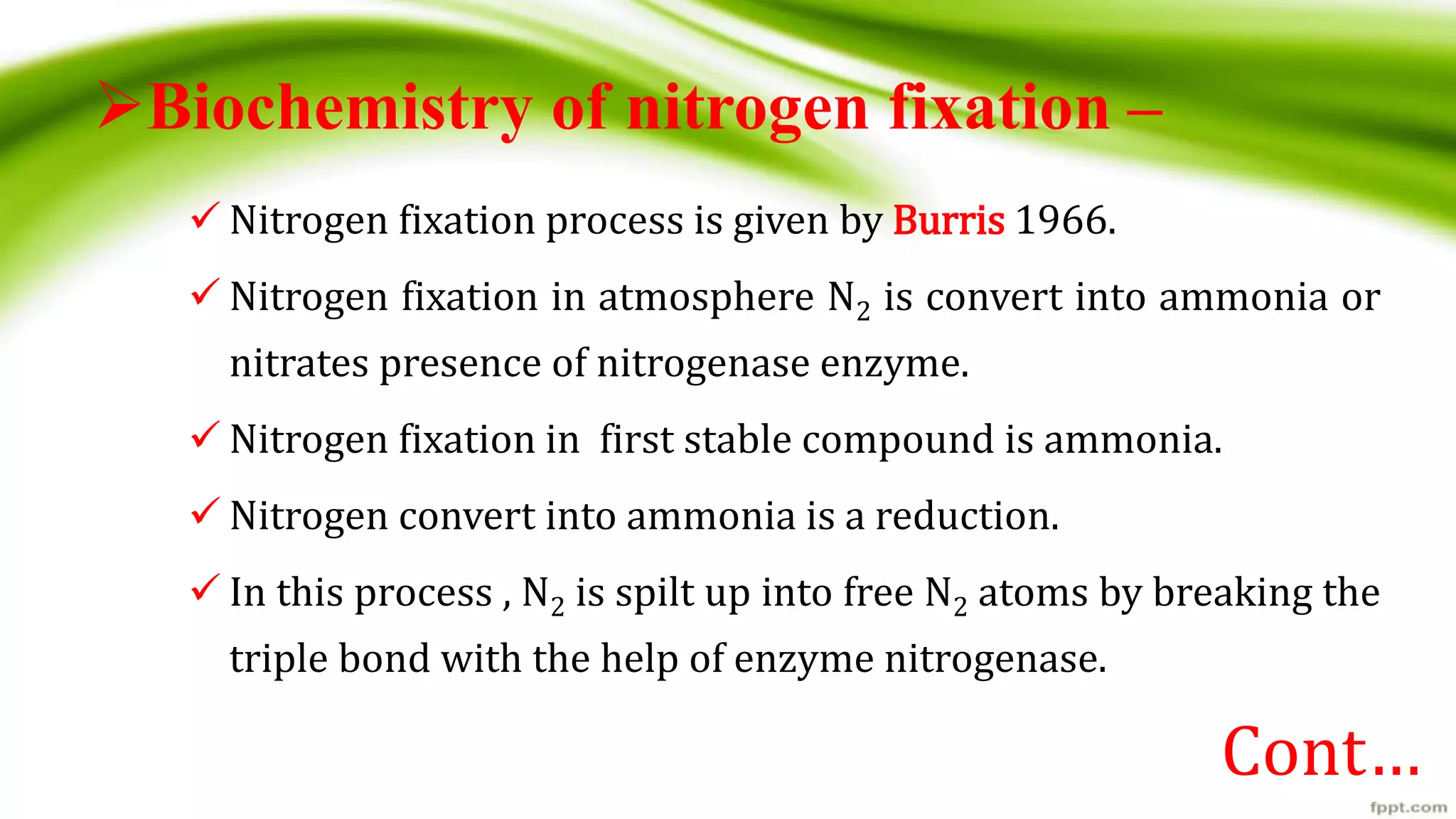 Nitrogen Fixation | PPTX