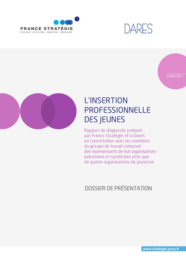 Dossier De Presentation L Insertion Professionnelle Des Jeunes
