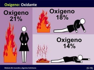 Módulo 06: Incendio y Agentes Extintores (6-19)
Oxígeno: Oxidante
 