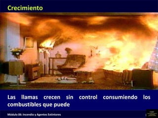 Módulo 06: Incendio y Agentes Extintores (6-35)
Crecimiento
Las llamas crecen sin control consumiendo los
combustibles que puede
 