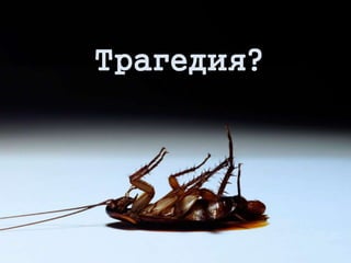 Трагедия?
 