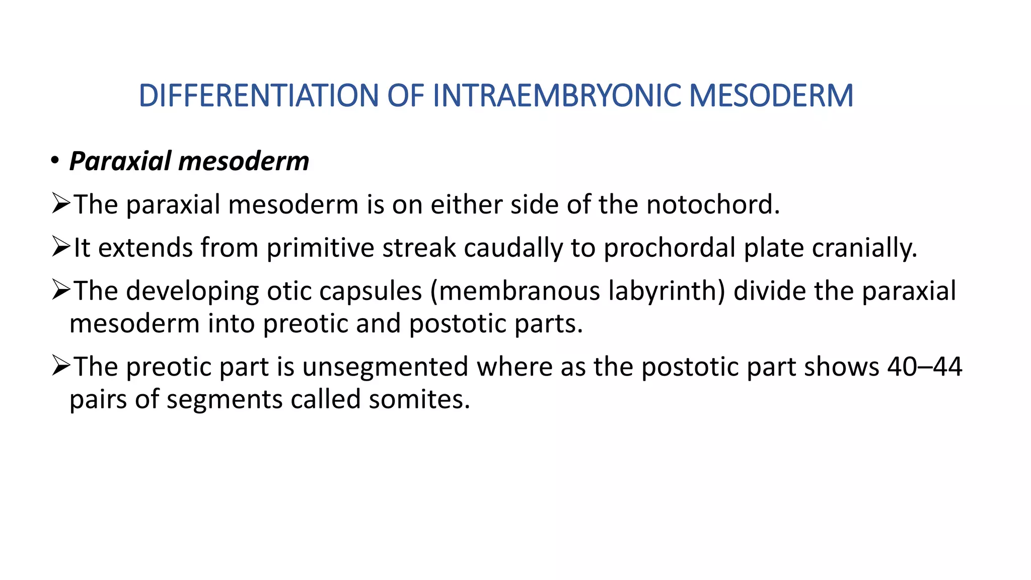 Embryonic period of development | PPTX