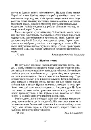 життя, то бджоли з віком його змінюють. Це дуже цікаве явище.
Перші дні життя бджілці доручають роботу прибиральниці: во­
на вичищає старі чарунки, потім працює годувальницею — годує
робочих бджіл спочатку квітковим пилком, а потім і маточним
молочком. Згодом вона приймає корм, стає будівельницею, далі —
охоронцем. Найвідповідальнішу роботу, збирання нектару, ви­
конують найстарші бджоли.
Мед — не просто згущений нектар. У бджоли він зазнає склад­
них хімічних перетворень, збагачується органічними кислотами,
ферментами, бактерицидними речовинами. Потім бджола пере­
дає краплину іншій бджолі, яка продовжує процес. Урешті-решт
крапля напівфабрикату виділяється в чарунку стільника. Після
цього відбувається процес згущення меду. Стільки праці заради
краплинки меду, яку майже неможливо побачити неозброєним
оком!
170 слів 3 енциклопедичного довідника
72. Вірність лелек
На даху однієї німецької школи лелеки змостили гніздо. Зго­
дом у ньому з'явилися лелеченята. Якось маленьке пташеня випа­
ло з гнізда й лежало нерухомо: воно дуже забилося. Потерпілого
знайшов учитель і взяв його в хату, годував, піклувався про нього,
аж доки воно видужало. Потім чоловік відніс його на луку. Старі
лелеки знайшли своє дитя й почали годувати. Коли в малого ле­
леки виросли й зміцніли крила, так що він зміг літати, батьки
забрали його в гніздо. Щодня, як учитель виходив на луку про­
йтися, молодий лелека прилітав до нього й ходив поруч. Це було
таке диво, що люди навіть приходили дивитися, як учитель з ле­
лекою проходжується, а діти юрбою бігали навколо них. Птах
нікого не боявся: з ним був приятель і оборонець.
Розповідають, що в Брюсселі один ткач знайшов малого ле­
леку, що випав із гнізда, і взяв до себе. Він панькався з ним, як із
малою дитиною, бо жив собі сам-один, і лелека став йому за ди­
тину. Уже лелека виріс, а добродія свого, старого ткача, не
залишав. Вони дуже приятелювали.
166 слів За Б. Грінченком
57
 