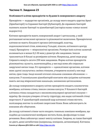 База усіх збірників, відповідей ДПА 2020 на сайті https://dpa-zno.info
Скачати усі збірники ДПА 2020 на сайті https://dpa-zno.info
Частина V. Завдання 23
Особливості клітин прокаріотів та будови їх поверхневого апарату
Прокаріоти — надцарство організмів, до складу якого входять царства Археї
(Архебактерії) та Справжні бактерії (Еубактерії). До справжніх бактерій
належать власне бактерії та ціанобактерії (застаріла назва «синьо-зелені
водорості»).
Клітини прокаріотів мають поверхневий апарат і цитоплазму, у якій
розташовані нечисленні органели та різноманітні включення. Прокаріотичні
клітини не мають більшості органел (мітохондрій, пластид,
ендоплазматичної сітки, комплексу Гольджі, лізосом, клітинного центру
тощо). Прокаріоти — мікроскопічні організми. Розміри їхніх клітин зазвичай
коливаються в межах 0,2-30 мкм у діаметрі або завдовжки. Інколи
трапляються й більші за розмірами клітини. Наприклад, деякі види роду
Спірохета можуть сягати 250 мкм завдовжки. Форма клітин прокаріотів
різноманітна: куляста, паличкоподібна, у вигляді коми або спірально
закрученої нитки тощо. Усі прокаріоти — одноклітинні організми, клітини
яких здатні сполучатись своїми стінками, утворюючи колонії у вигляді
ниток, грон тощо. Іноді колонії оточені спільною слизовою оболонкою —
капсулою. У колоніальних ціанобактерій контакти між сусідніми клітинами
мають вигляд мікроскопічних канальців, заповнених цитоплазмою.
До складу поверхневого апарату клітин прокаріотів входять плазматична
мембрана, клітинна стінка, інколи слизова капсула. У більшості бактерій
клітинна стінка складається з високомолекулярної органічної сполуки—
муреїну. Ця сполука утворює сітчасту структуру, яка надає клітинній стінці
жорсткості. У ціанобактерій зовнішній шар клітинної стінки містить
полісахарид пектин та особливі скоротливі білки. Вони забезпечують їм
ковзання або обертання.
До складу клітинної стінки часто входить тоненька зовнішня мембрана, що
подібно до плазматичної мембрани містить білки, фосфоліпіди та інші
речовини. Вона забезпечує захист вмісту клітини. Зокрема, на таких бактерій
не діють деякі антибіотики (наприклад, пеніцилін, актиноміцин). Клітинна
 