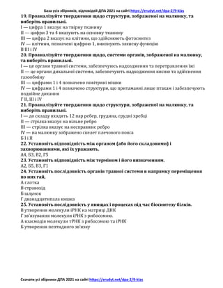 База усіх збірників, відповідей ДПА 2021 на сайті https://erudyt.net/dpa-2/9-klas
Скачати усі збірники ДПА 2021 на сайті https://erudyt.net/dpa-2/9-klas
19. Проаналізуйте твердження щодо структури, зображеної на малюнку, та
виберіть правильні.
I — цифра 1 вказує на твірну тканину
II — цифри 3 та 4 вказують на основну тканину
III — цифра 2 вказує на клітини, що здійснюють фотосинтез
IV — клітини, позначені цифрою 1, виконують захисну функцію
В III і IV
20. Проаналізуйте твердження щодо, системи органів, зображеної на малюнку,
та виберіть правильні.
I — це органи травної системи, забезпечуюсь надходження та перетравлення їжі
II — це органи дихальної системи, забезпечують надходження кисню та здійснення
газообміну
III — цифрами 1 і 4 позначено повітряні мішки
IV — цифрами 1 і 4 позначено структури, що притаманні лише птахам і забезпечують
подвійне дихання
Г II, III і IV
21. Проаналізуйте твердження щодо структури, зображеної на малюнку, та
виберіть правильні.
I — до складу входять 12 пар ребер, грудина, грудні хребці
II — стрілка вказує на вільне ребро
III — стрілка вказує на несправжнє ребро
IV — на малюнку зображено скелет плечового пояса
Б I і II
22. Установіть відповідність між органом (або його складовими) і
захворюваннями, які їх уражають.
А4, Б3, В2, Г5
23. Установіть відповідність між терміном і його визначенням.
А2, Б5, В3, Г1
24. Установіть послідовність органів травної системи в напрямку переміщення
по них гай,
А глотка
В стравохід
Б шлунок
Г дванадцятипала кишка
25. Установіть послідовність у явищах і процесах під час біосинтезу білків.
В утворення молекули іРНК на матриці ДНК
Г зв’язування молекули іРНК з рибосомою.
А взаємодія молекули тРНК з рибосомою та іРНК
Б утворення пептидного зв’язку
 