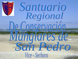 Santuario Regional De Conservación Vice - Sechura Manglares de  San Pedro 