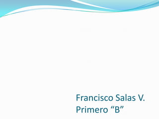 Francisco Salas V.Primero “B”