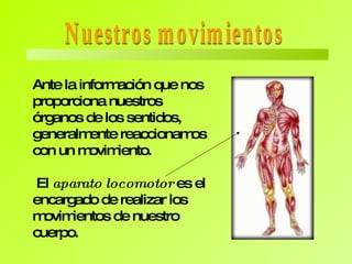 Partes del aparato locomotor El aparato locomotor está formado por: Los músculos Los huesos  Las articulaciones (ligamentos) 
