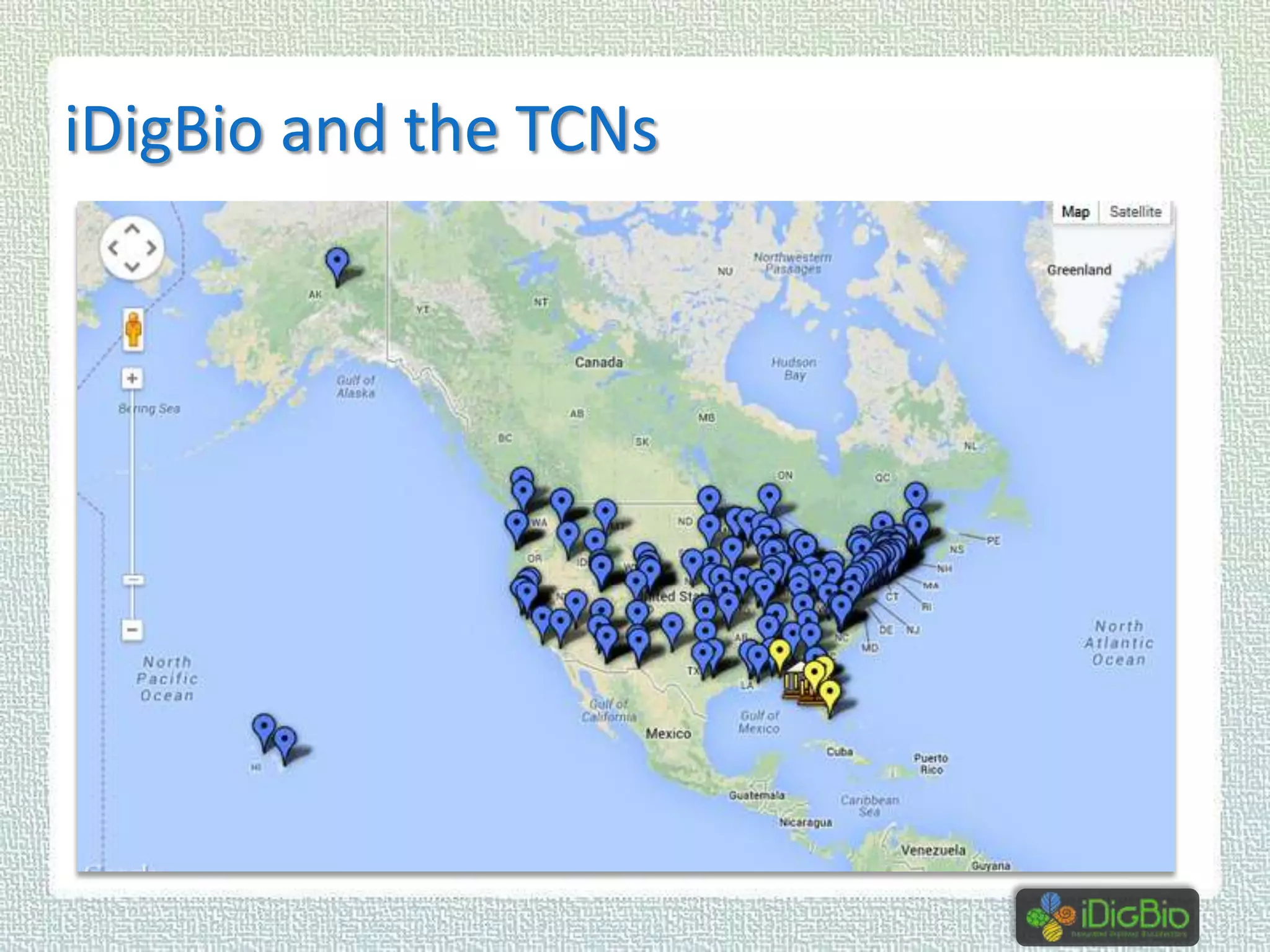 iDigBio and the TCNs

 