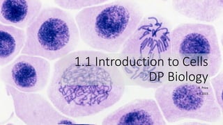 1.1 Introduction to Cells
DP Biology
R. Price
v. 1 2015
 