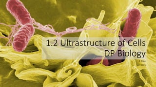 1.2 Ultrastructure of Cells
DP Biology
R. Price
v. 1 2015
 