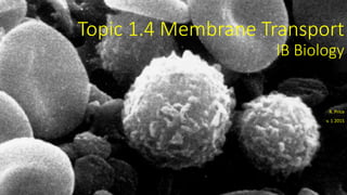 Topic 1.4 Membrane Transport
IB Biology
R. Price
v. 1 2015
 