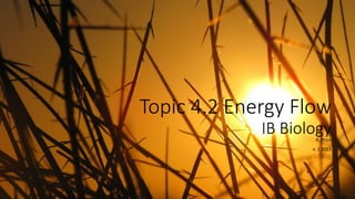 Topic 4.2 Energy Flow
IB BiologyR. Price
v. 1 2015
 