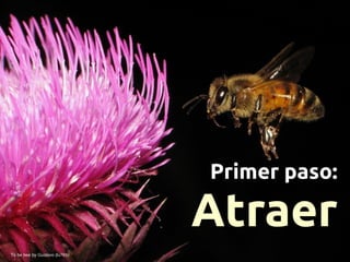 Primer paso:

                                Atraer
To be bee by Gustavo (lu7frb)
 