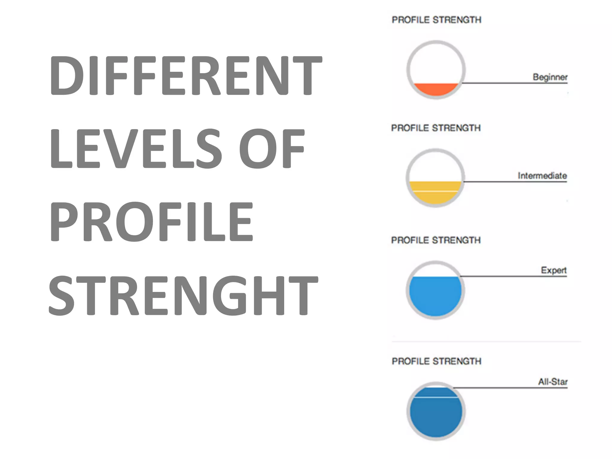 DIFFERENT	
  
LEVELS	
  OF	
  
PROFILE	
  
STRENGHT	
  
 