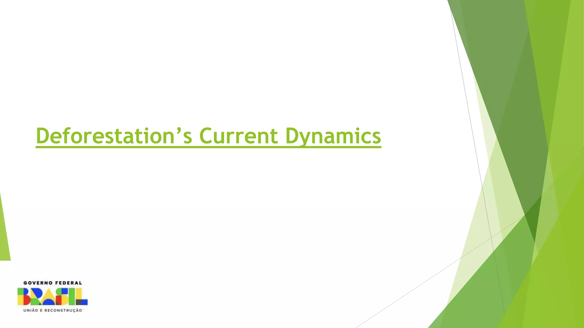 Deforestation’s Current Dynamics
 