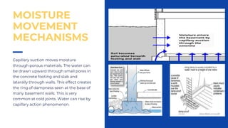 Capillary suction moves moisture
through porous materials. The water can
be drawn upward through small pores in
the concrete footing and slab and
laterally through walls. This effect creates
the ring of dampness seen at the base of
many basement walls. This is very
common at cold joints. Water can rise by
capillary action phenomenon.
MOISTURE
MOVEMENT
MECHANISMS
 