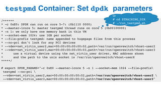DPDK in Containers Hands-on Lab | PPT